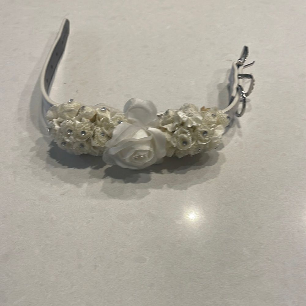 Dog collar for wedding special occasions.